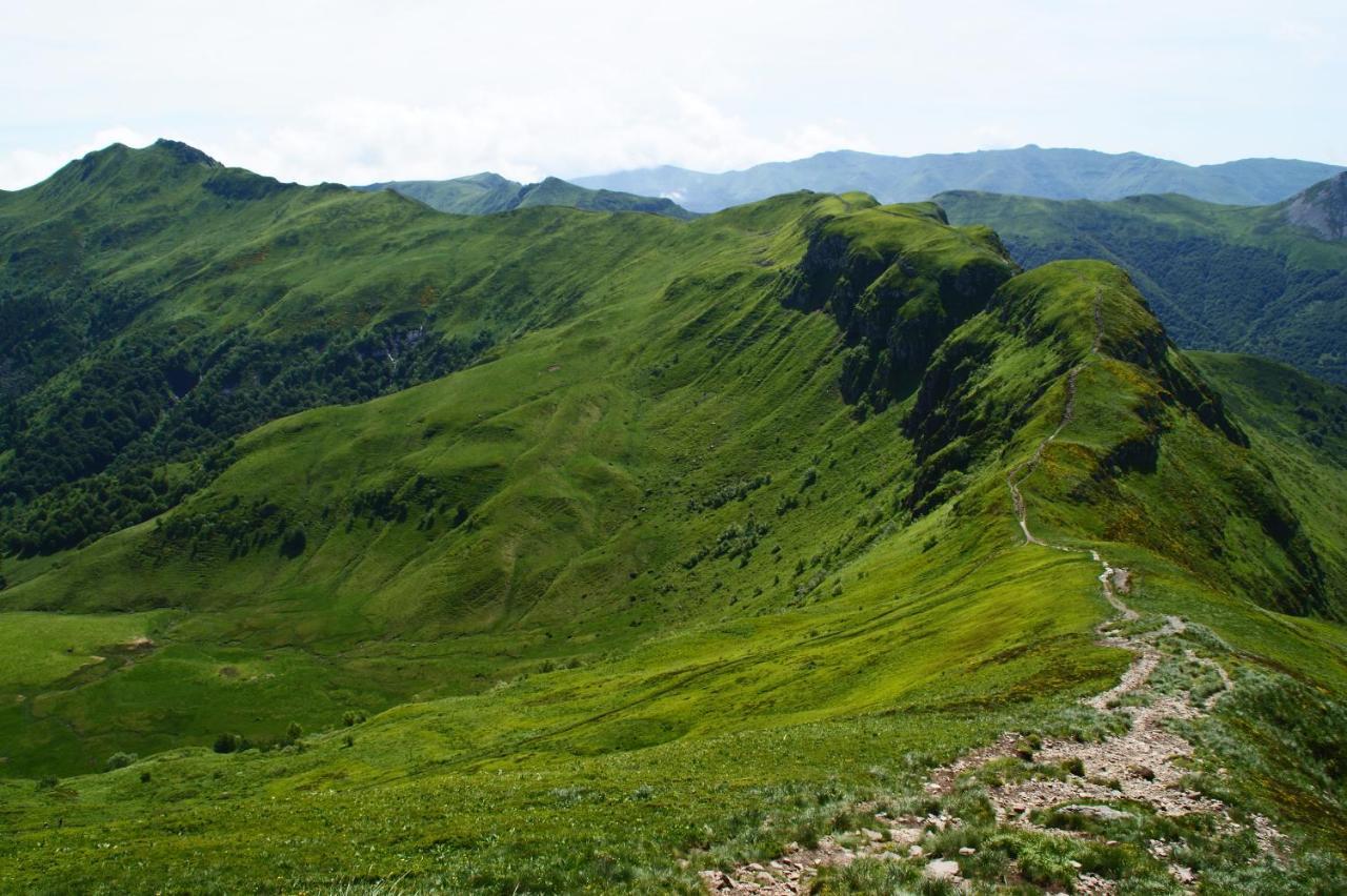 Meuble De Tourisme La Jaulipiere Lägenhet Joursac Exteriör bild